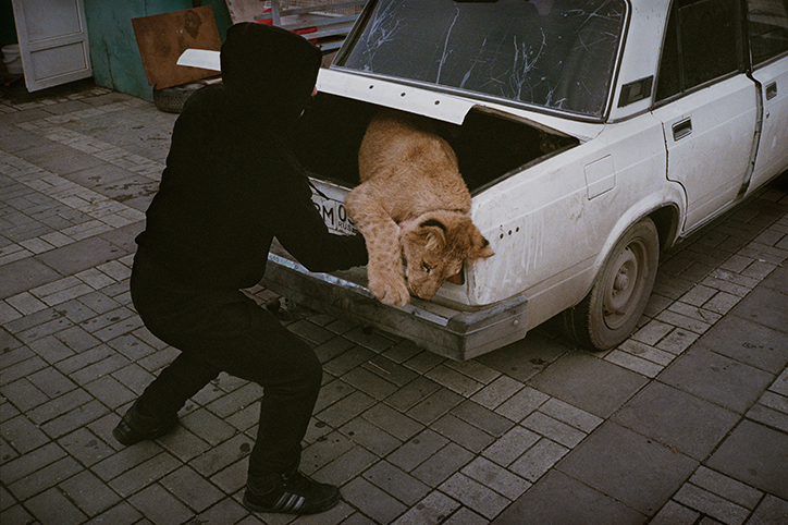 Stefan-Bladh-Hidden-Kingdom-photography-itsnicethat-8.png