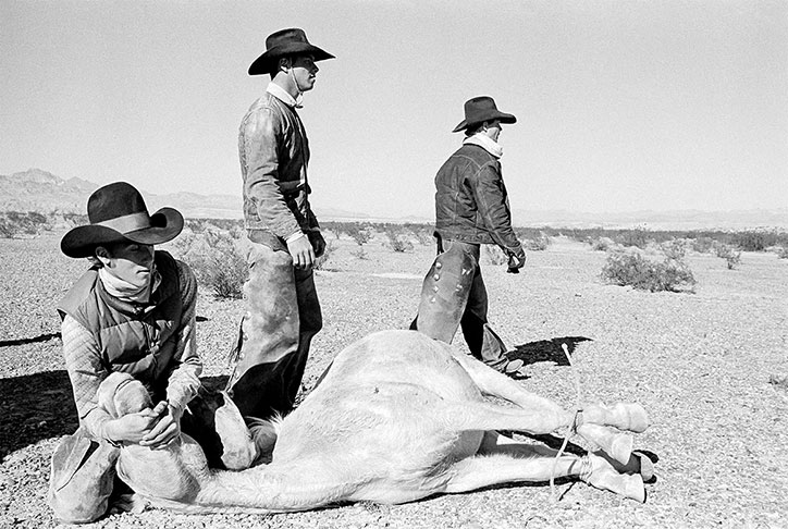 David-Hurn-Arizona-Trips-photography-itsnicethat-The-round-up-of-the-last-wild-horses-in-the-desert-of-Arizona.-Bullhead-City_-1980.jpg