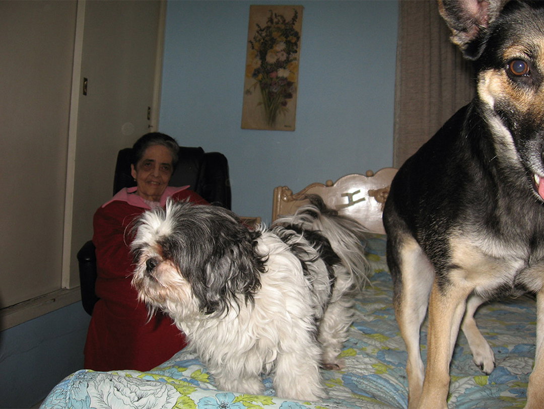 favs_romka05_MartinaKorosec.jpg