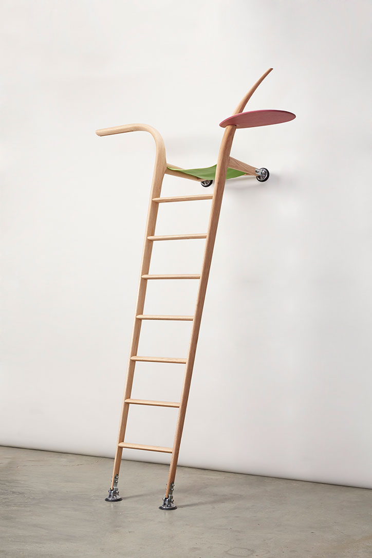ab-rogers-the-ladder-that-likes-the-wall-dyslexic-design-itsnicethat.jpg