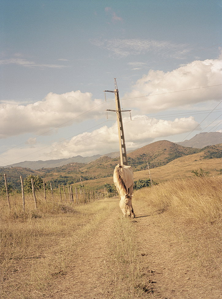 IrinaRozovsky-Photography-itsnicethat-02.jpg