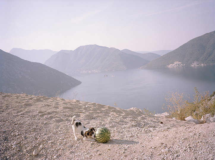 IrinaRozovsky-Photography-itsnicethat-14.jpg
