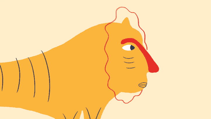 KatyWang-MaMama-Animation-itsnicethat-01.gif