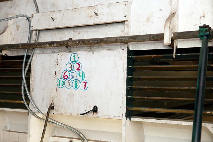 Kalin-Haydon-American-Nest-itsnicethat-5.png