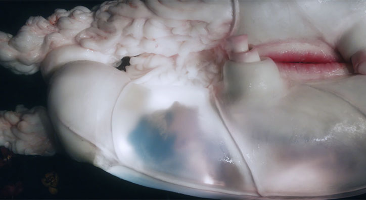 bjork-jesse-kanda-arisen-my-senses-music-video-film-3.jpg