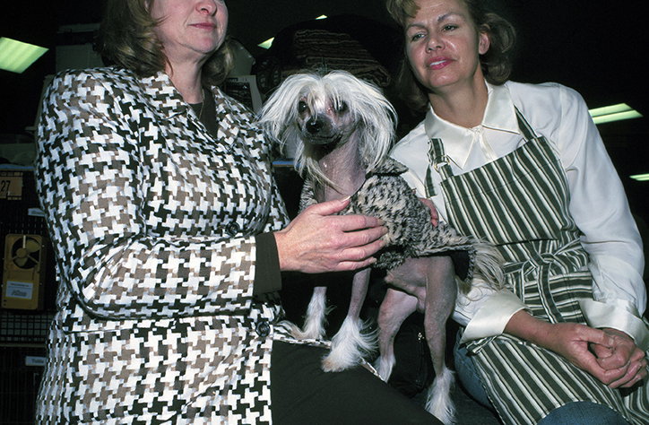 MartinAndersen-DogsShows-Photoraphy-NewYork2006-ItsNiceThat-17.jpg