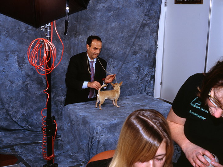 MartinAndersen-DogsShows-Photoraphy-Amsterdam2006-ItsNiceThat-4.jpg