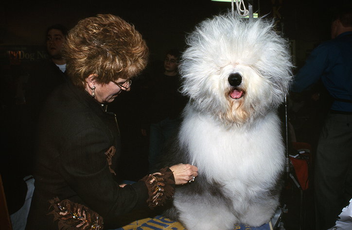 MartinAndersen-DogsShows-Photoraphy-NewYork2006-ItsNiceThat-8.jpg