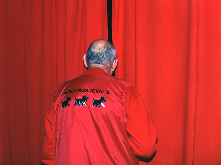 MartinAndersen-DogsShows-Photoraphy-Denmark2008-ItsNiceThat-2.jpg
