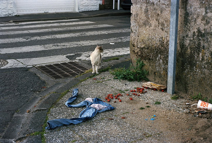 GeraldineLay-Improptus-Photography-itsnicethat-03.jpg