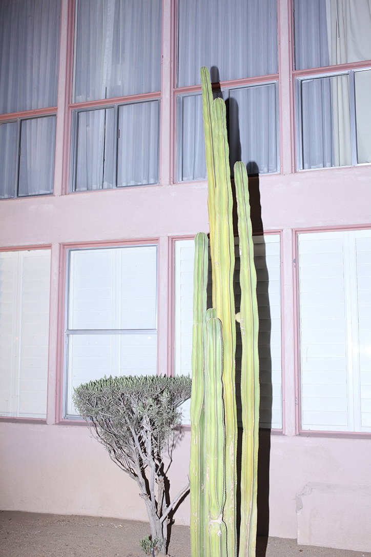 Anna_Hahoutoff-livewildcollective-art-itsnicethat.jpg