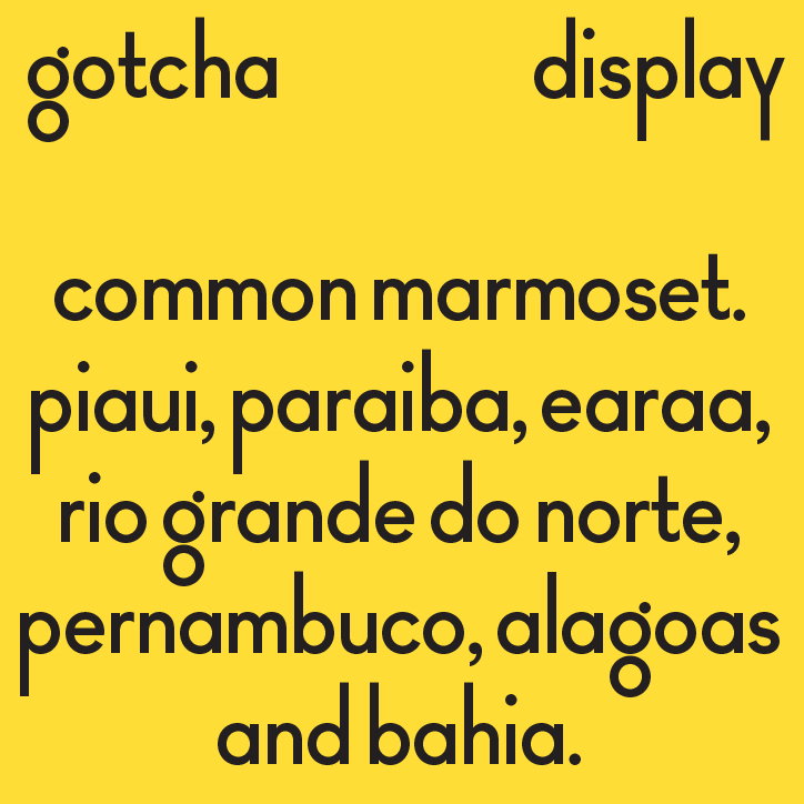 MonkeyType-Gotcha-GraphicDesign-itsnicethat-02.jpg