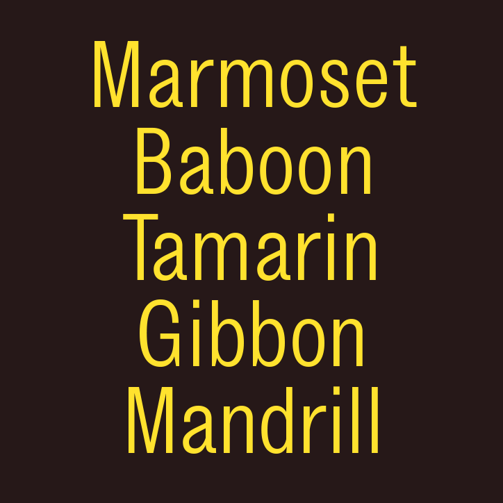 MonkeyType-Mandrill-GraphicDesign-itsnicethat-0.gif