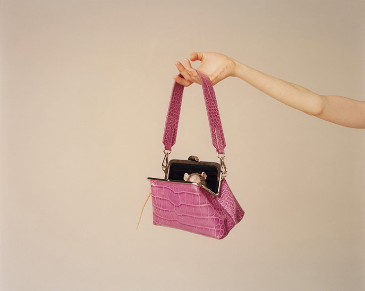 StephWilson-OysterMagazine-itsnicethat-06.jpg