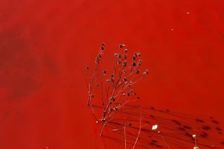 TomSkipp_Bosnia--photography-itsnicethat-13.jpg