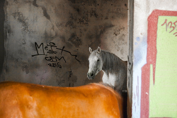 TomSkipp_Bosnia--photography-itsnicethat-15.jpg