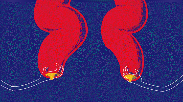 nice-and-serious-touch-yourself-animation-itsnicethat-main.gif
