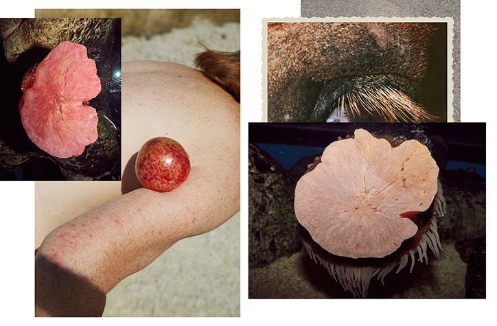 charlie-engman-photography-itsnicethat-12.jpg
