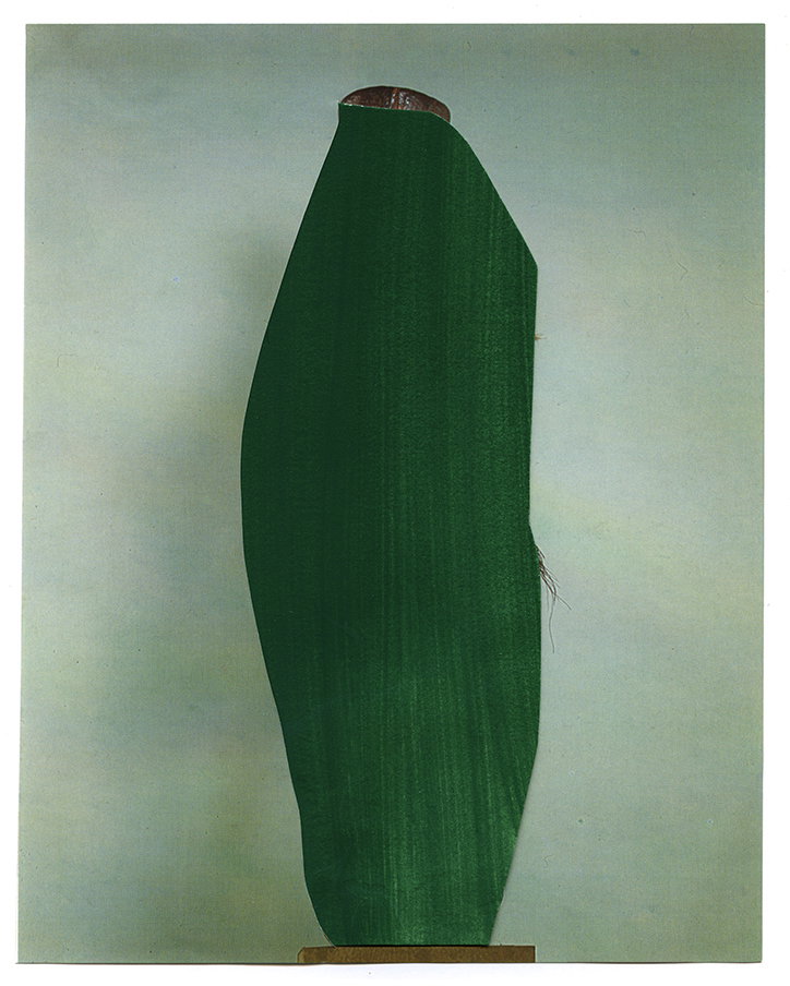 RuthVanBeek-Collage-ItsNiceThat-17.jpg