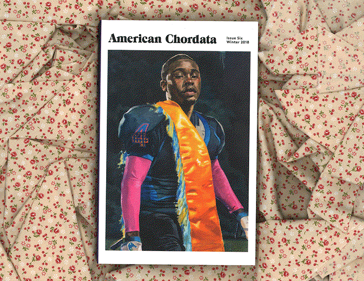american-chordata-publication-itsnicethat-1.gif