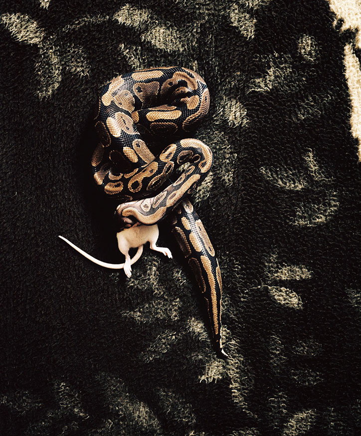 RobHornstra-ManNextDoor-Photography-itsnicethat-02.jpg