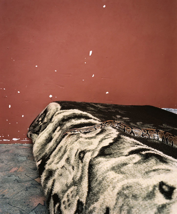 RobHornstra-ManNextDoor-Photography-itsnicethat-03.jpg