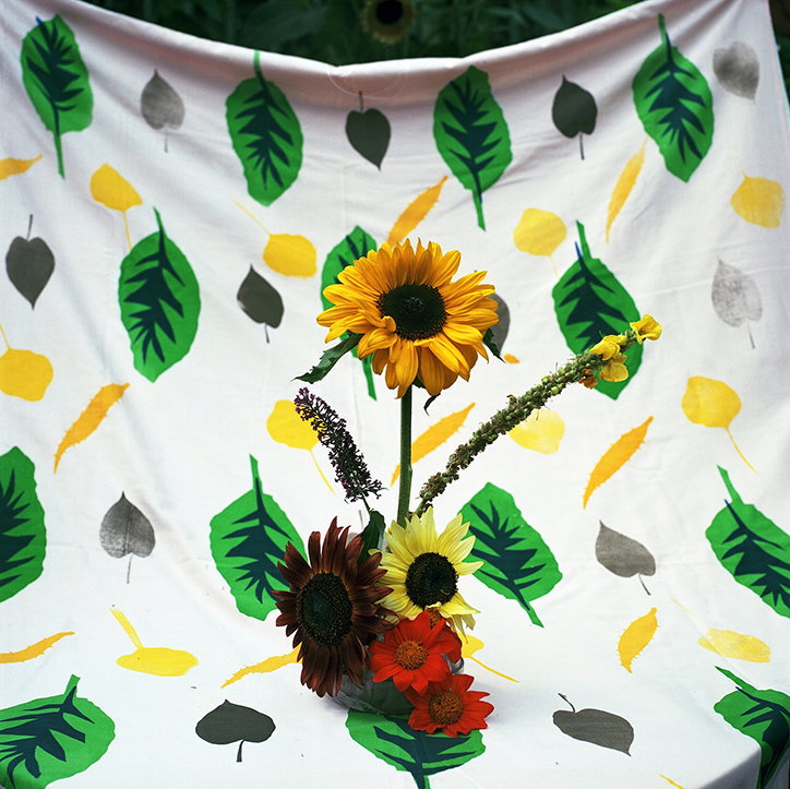 JasonEvans-Photography-GardenGateProject-itsnicethat-09.jpg
