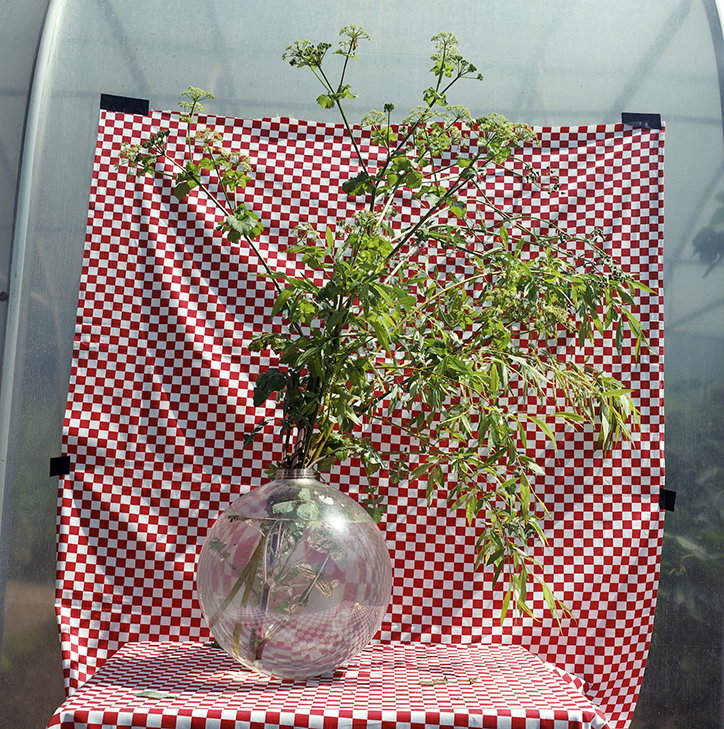 JasonEvans-Photography-GardenGateProject-itsnicethat-07.jpg
