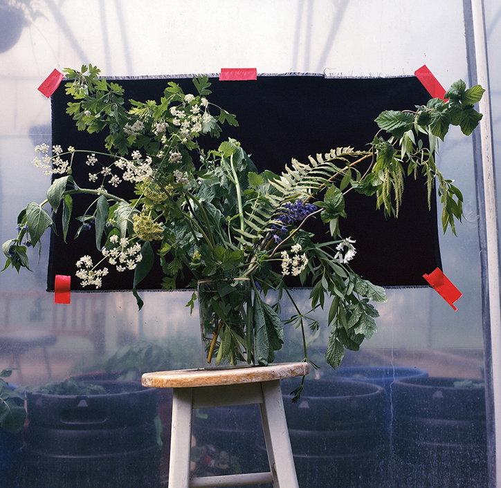 JasonEvans-Photography-GardenGateProject-itsnicethat-02.jpg