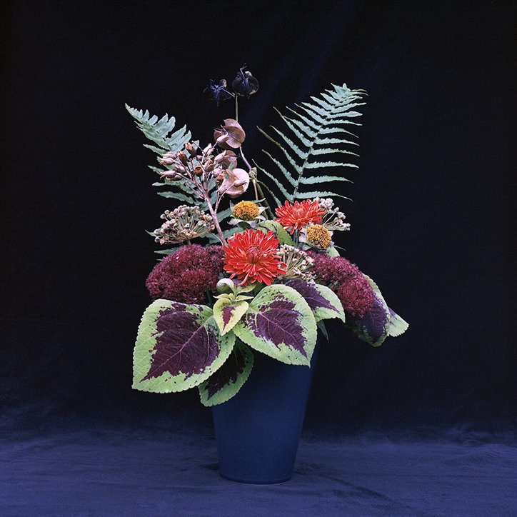 JasonEvans-Photography-GardenGateProject-itsnicethat-11.jpg