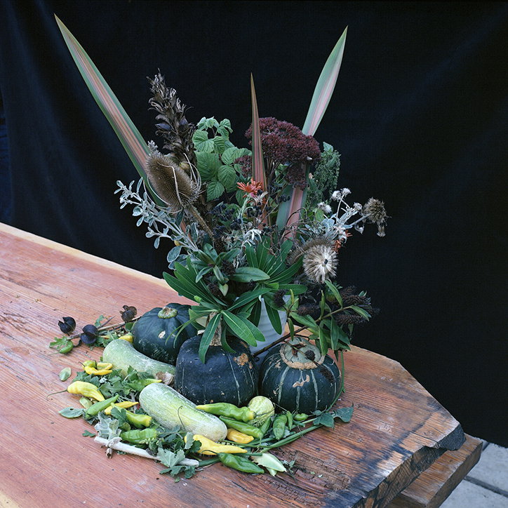JasonEvans-Photography-GardenGateProject-itsnicethat-15.jpg