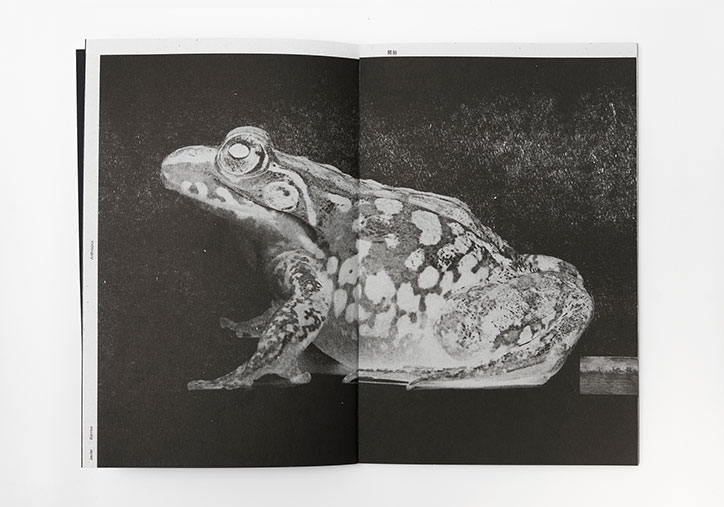 A black and white photograph of a spotted frog, spread across two pages of an open book. The frog is shown in profile against a dark, textured background.