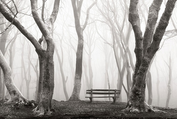 misty-view-hasselblad-ikea-photography-itsnicethat.jpg