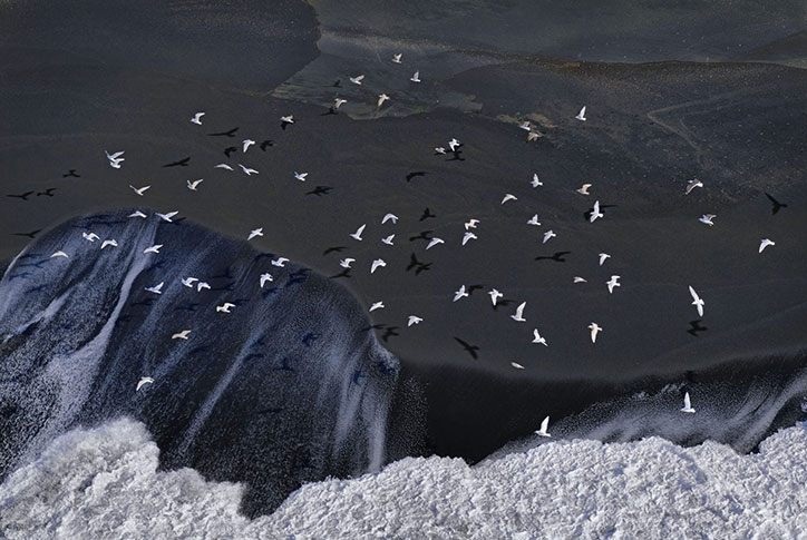 Glocious-Gulls-and-Waterfront-dmitry_ageev-hasselblad-ikea-photography-itsnicethat.jpg