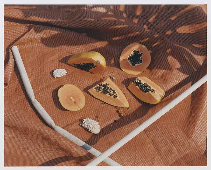 DhamSrifuengfung-Swimtome-Photography-itsnicethat-08.jpg
