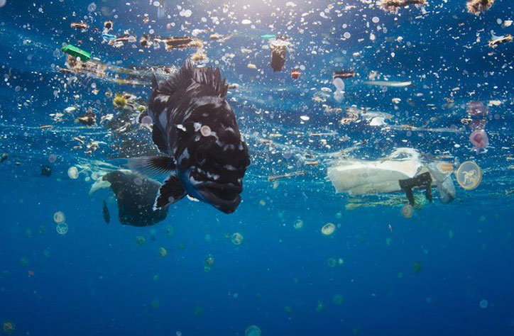 plastic-ocean-pollution-bbc-itsnicethat-2.jpg