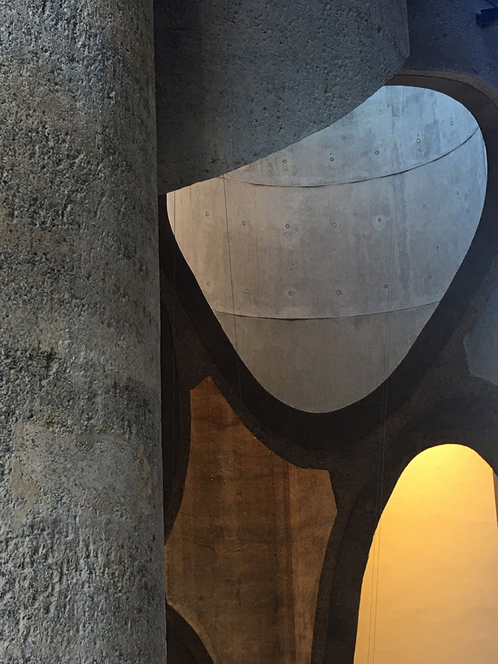 mocaa6.jpg