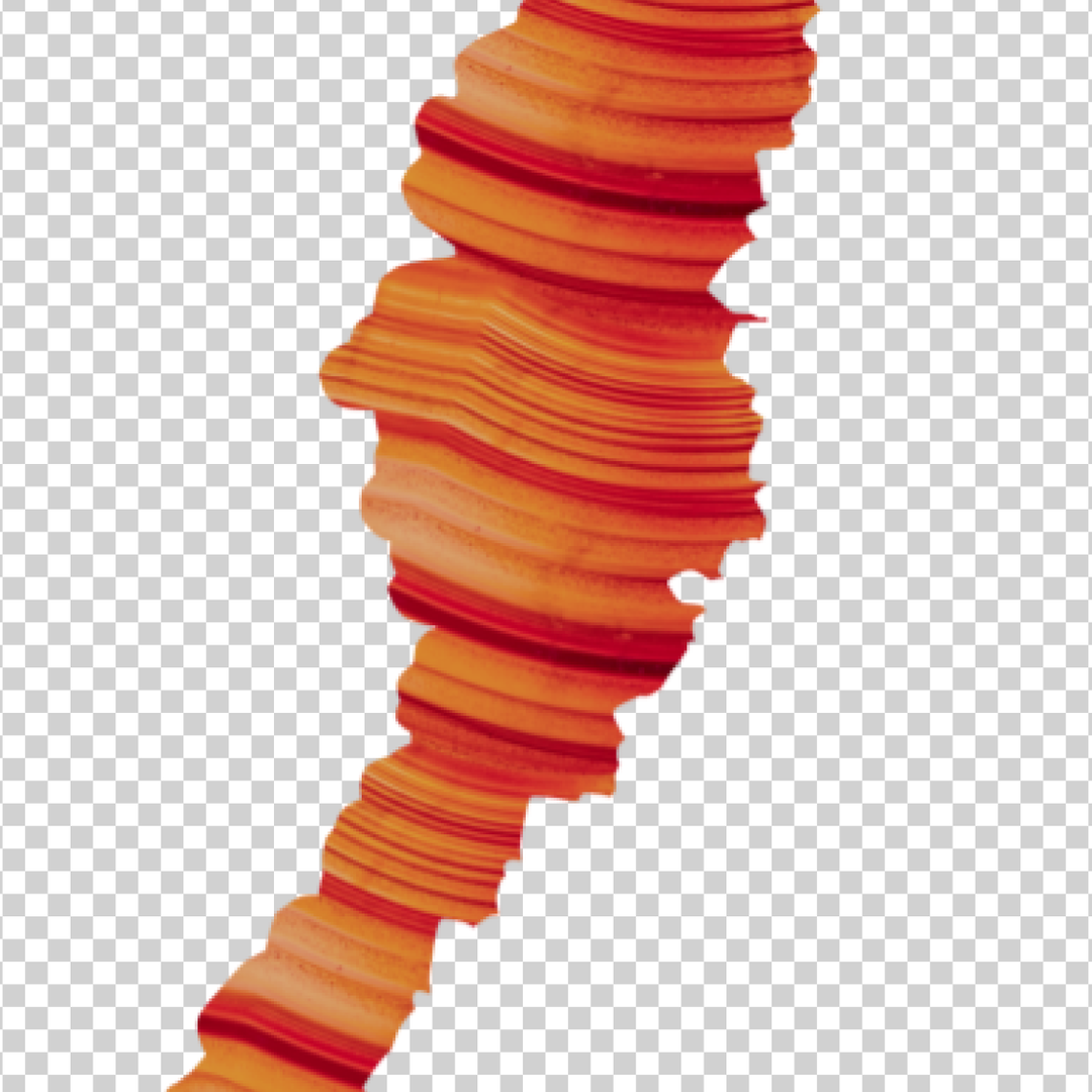 natalia_stuyk_adobe_stock_itsnicethat_found_in_stockImages7.png