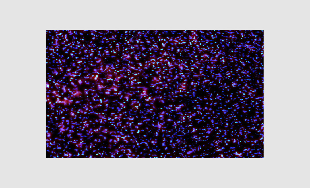 natalia_stuyk_adobe_stock_itsnicethat_found_in_stockSlideshows12.png