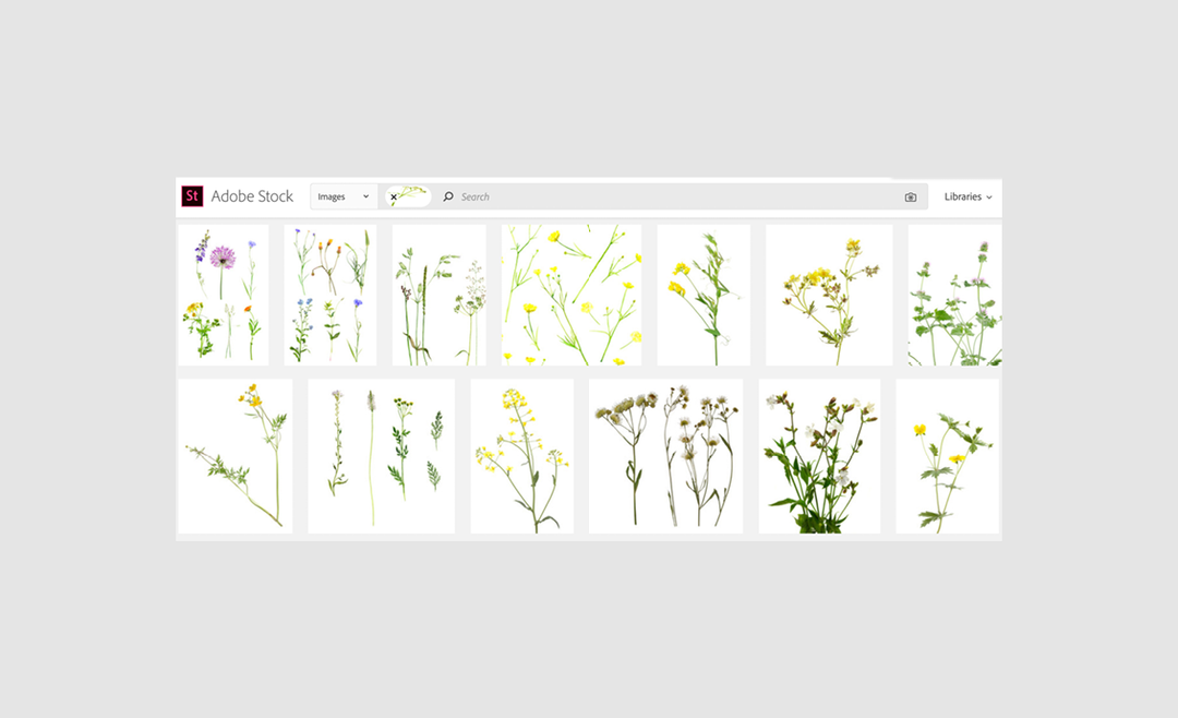 Rosanna_Webster_Adobe_Found_in_Stock_itsnicethatSlideshows5.png