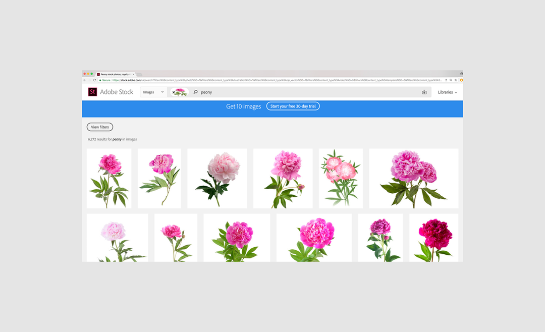 Rosanna_Webster_Adobe_Found_in_Stock_itsnicethatSlideshows4.png