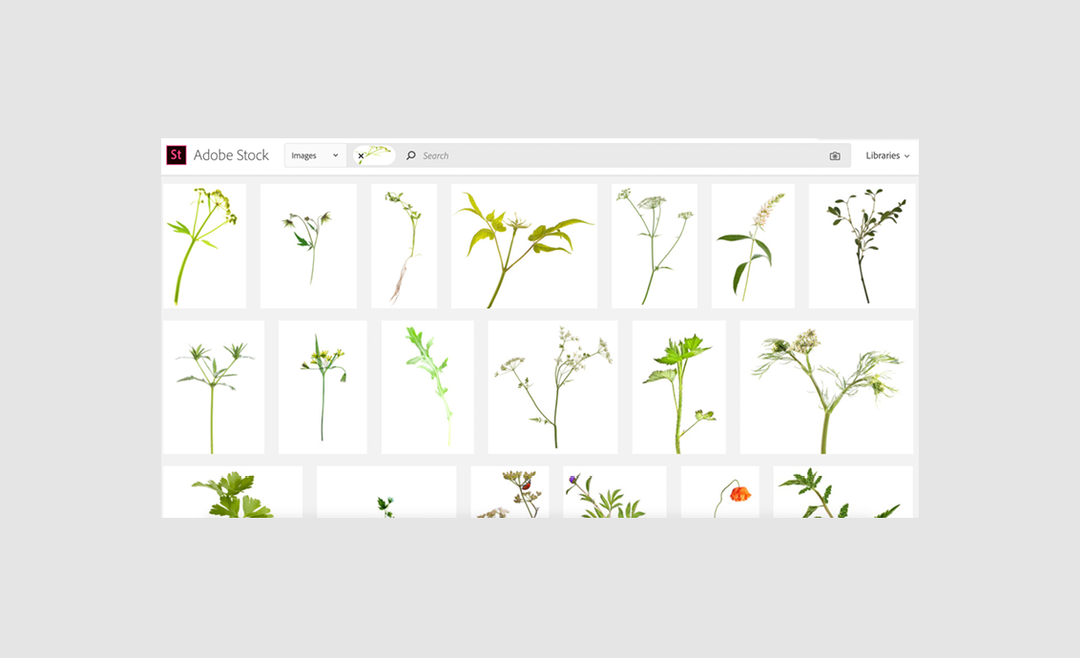 Rosanna_Webster_Adobe_Found_in_Stock_itsnicethatSlideshows2.png