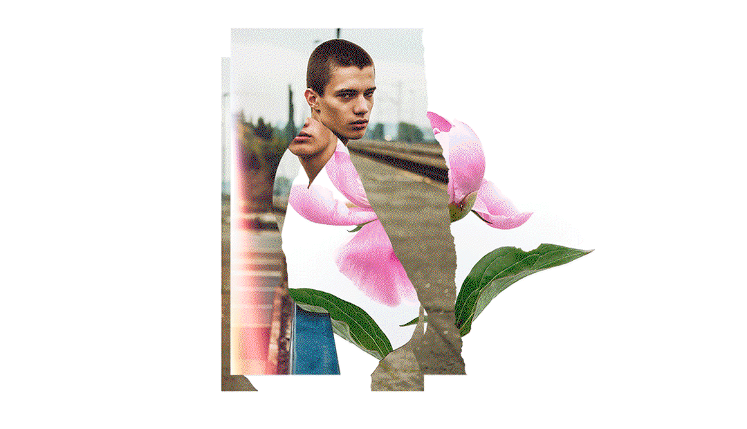Rosanna_Webster_Adobe_Found_in_Stock_itsnicethatINTxAdobe-01.gif