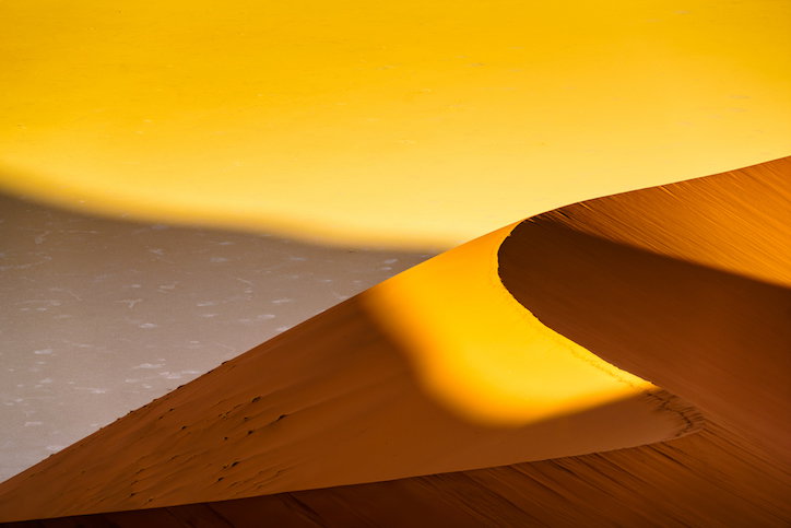 Elements_2_-_Wind_-_Sand_Snake.jpg