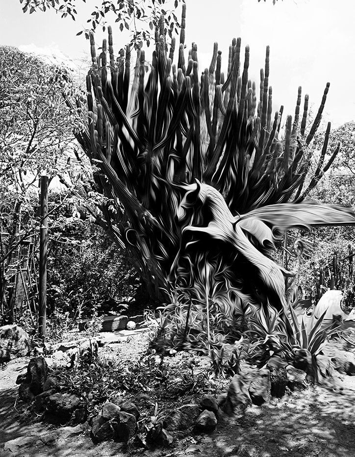 enlarge-your-memories-photography-itsnicethat-12.jpg