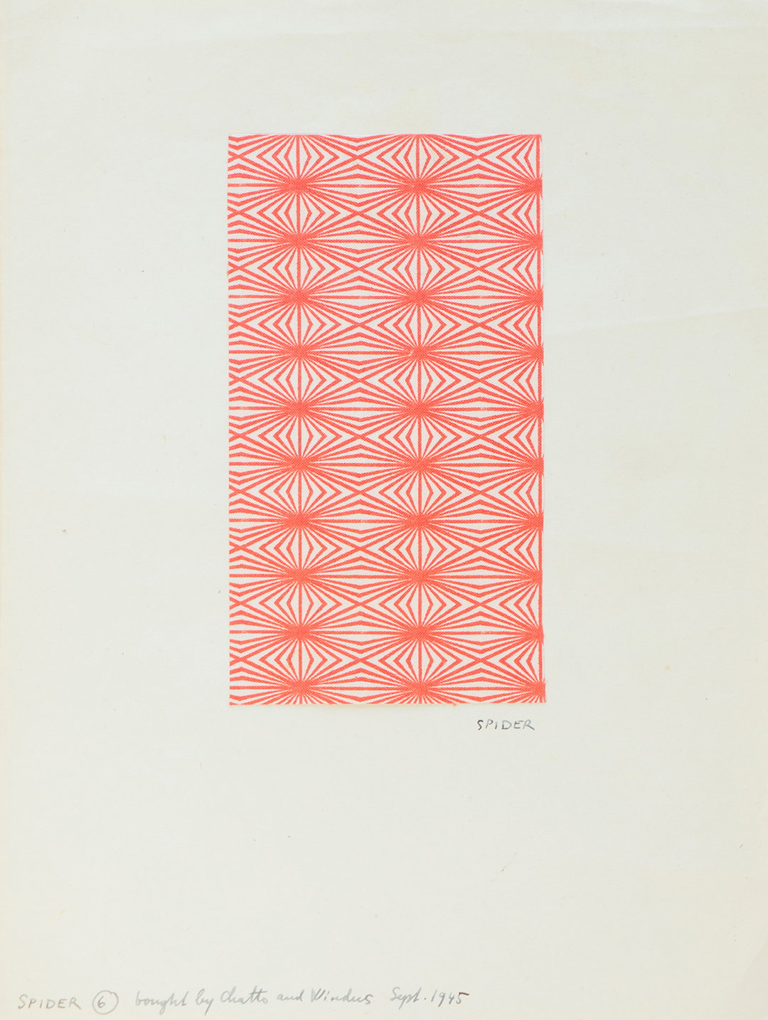 Elizabeth-Friedlander-Pattern-003.jpg