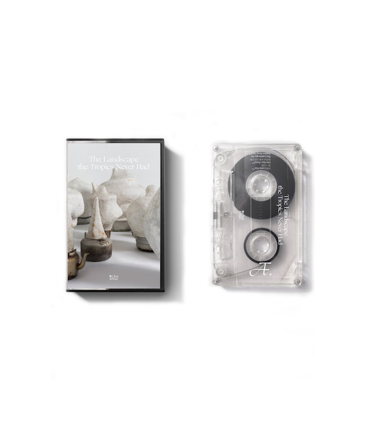 Cassette_ChuiWan.jpg