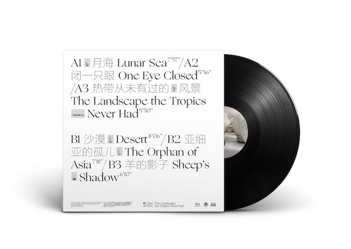 ChuiWan_Vinyl_Back_MockUp.jpg