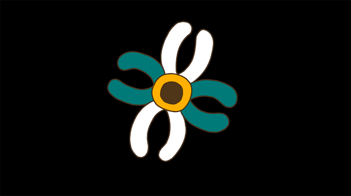 dasha-chuckrova-animation-itsnicethat-1.png