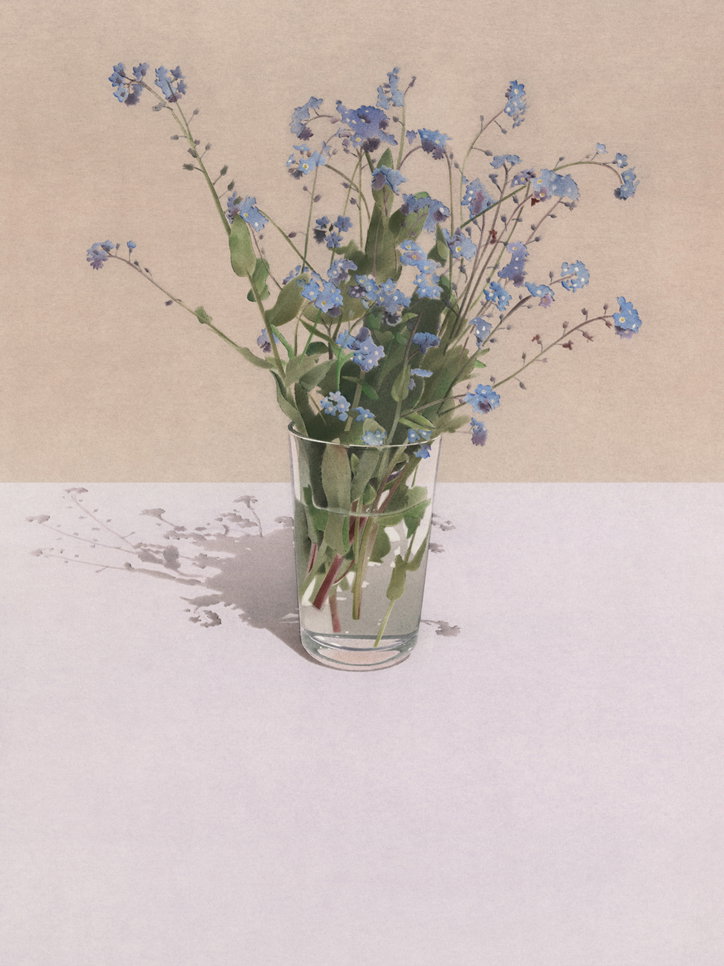 Forget-me-nots.jpg